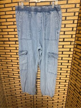 Jane & Delancey Chambray pants size XL